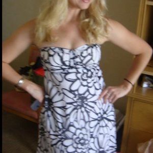 White House Black Market Cocktail Dress Size 0